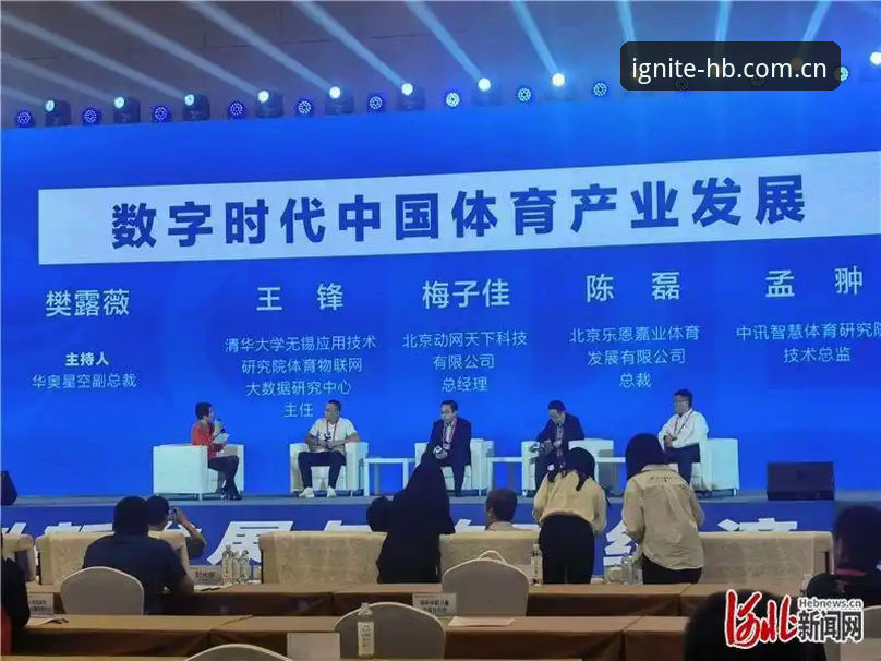hb火博体育官方平台深度分析：从新手到熟手的全面操作指南